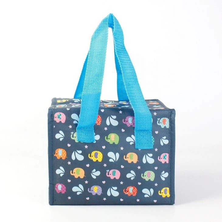 Pp Woven Insulated Lunch Bag