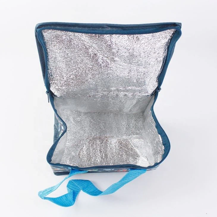 Pp Woven Insulated Lunch Bag