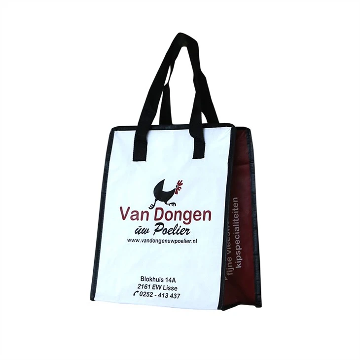 Laminated Pp Woven Cooler Bag